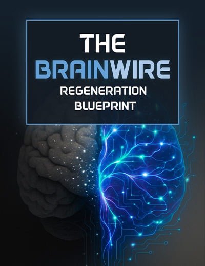 Audifort bonus eBook – The Brainwire Regeneration Blueprint for sharper memory and focus.